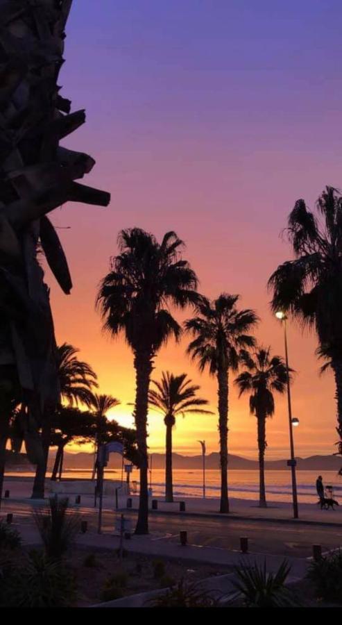 Studio Corniche Apartment La Ciotat Bagian luar foto